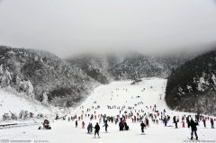 瑞雪智业在湖北